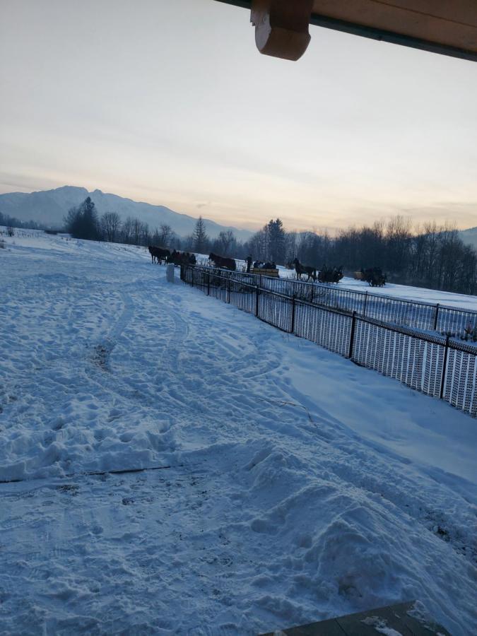 Domek Zakopane Tatrzanski Kacik Apartzakop Exteriör bild